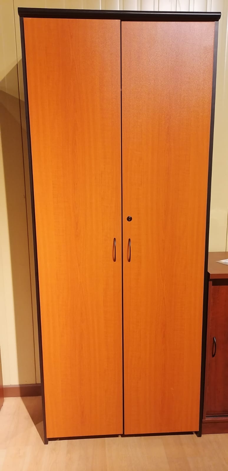 Librero & Archivador Cabinet