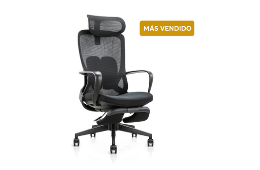 Silla Ergonómica Axis