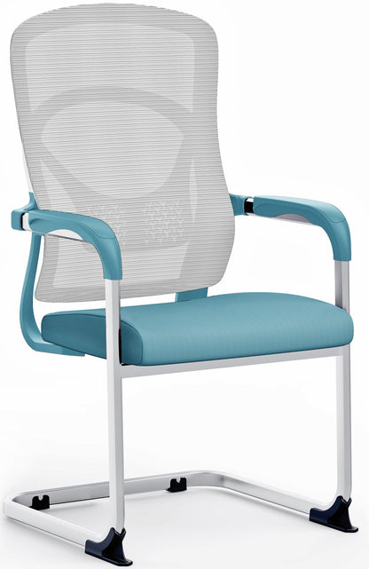 Silla Ejecutiva de Visita Celeste