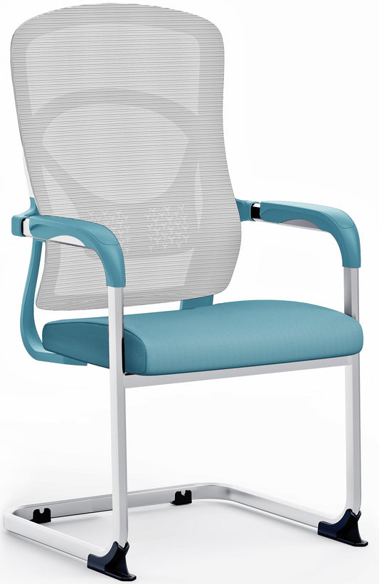 Silla Ejecutiva de Visita Celeste
